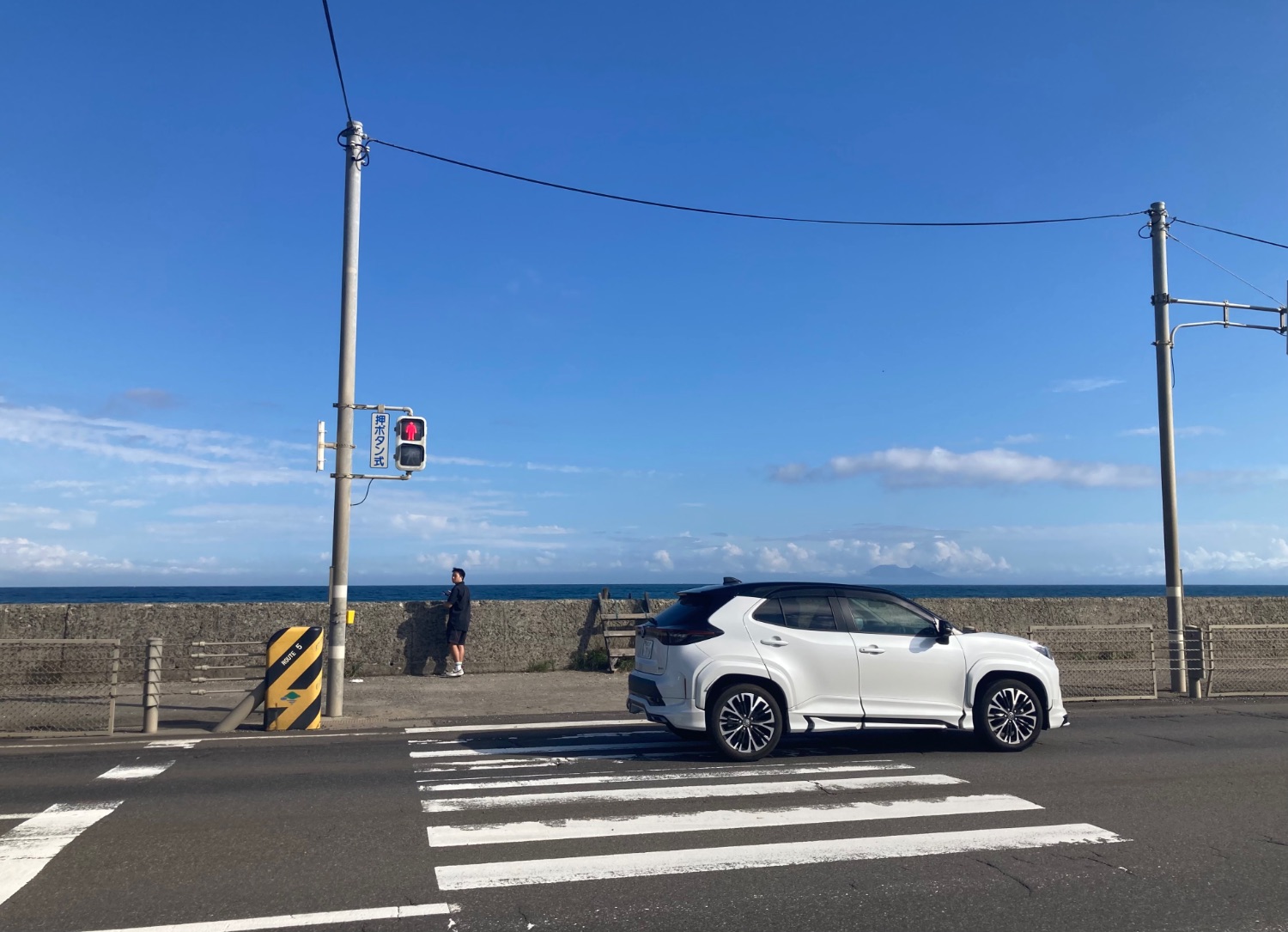 防潮堤越しに見える青い海